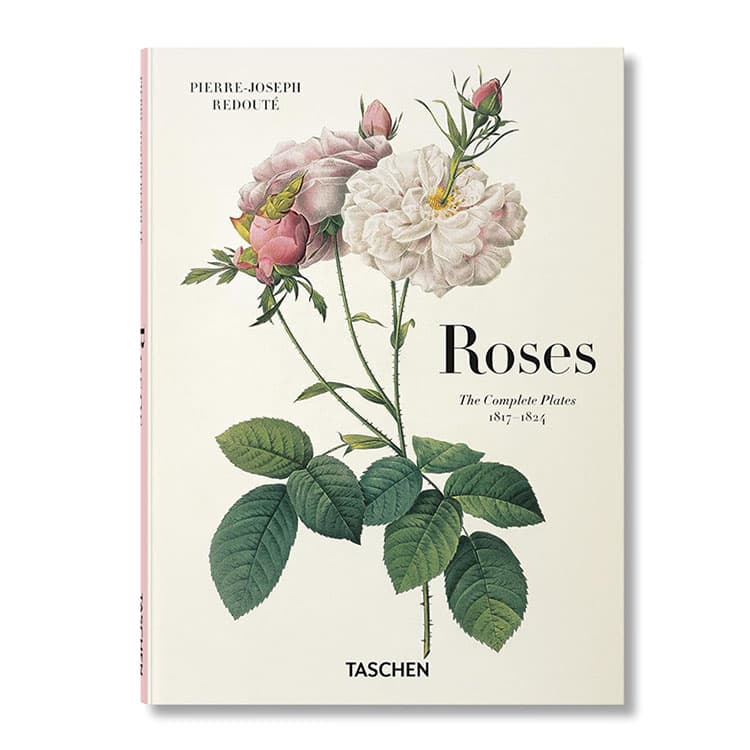 Redoute: Roses — görsel 3