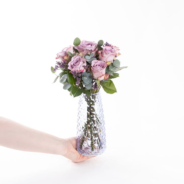 Gemma — görsel 4