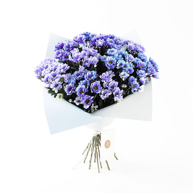 Blue Lagoon — görsel 7