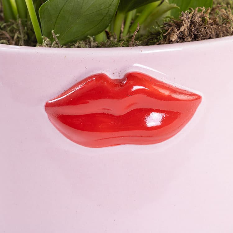Lily Lovers Ed. — görsel 9