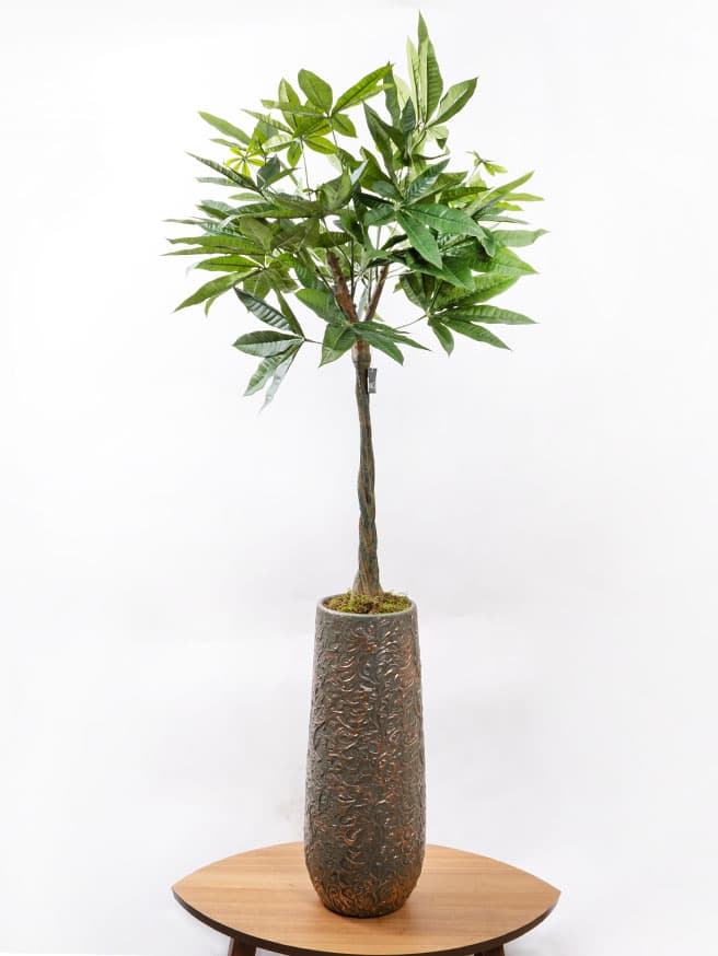 Dekoratif Ficus Ağacı - Yapay (110 cm)