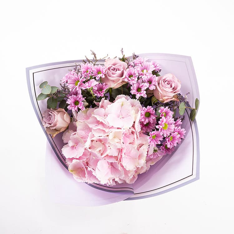 Laila — görsel 7