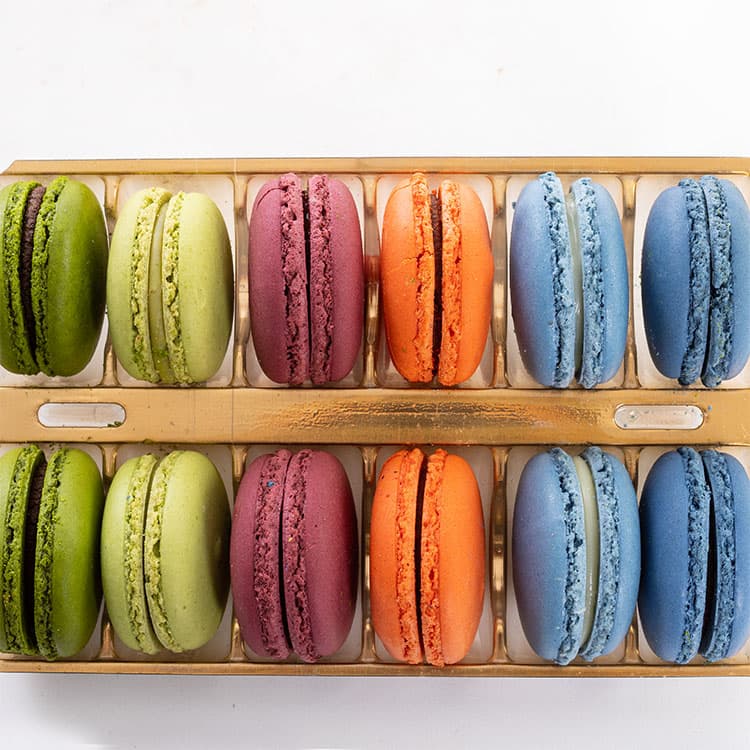 Wild Jungle Macarons (12'li) — görsel 5
