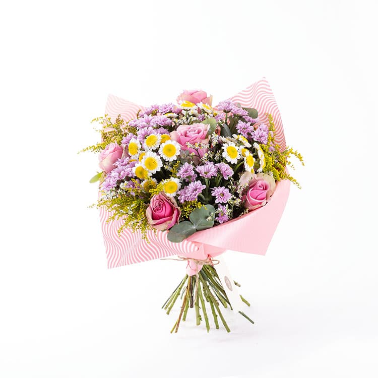 Poppy — görsel 5