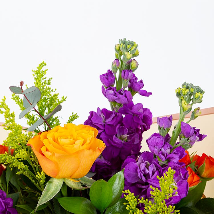 Spring Joy — görsel 7