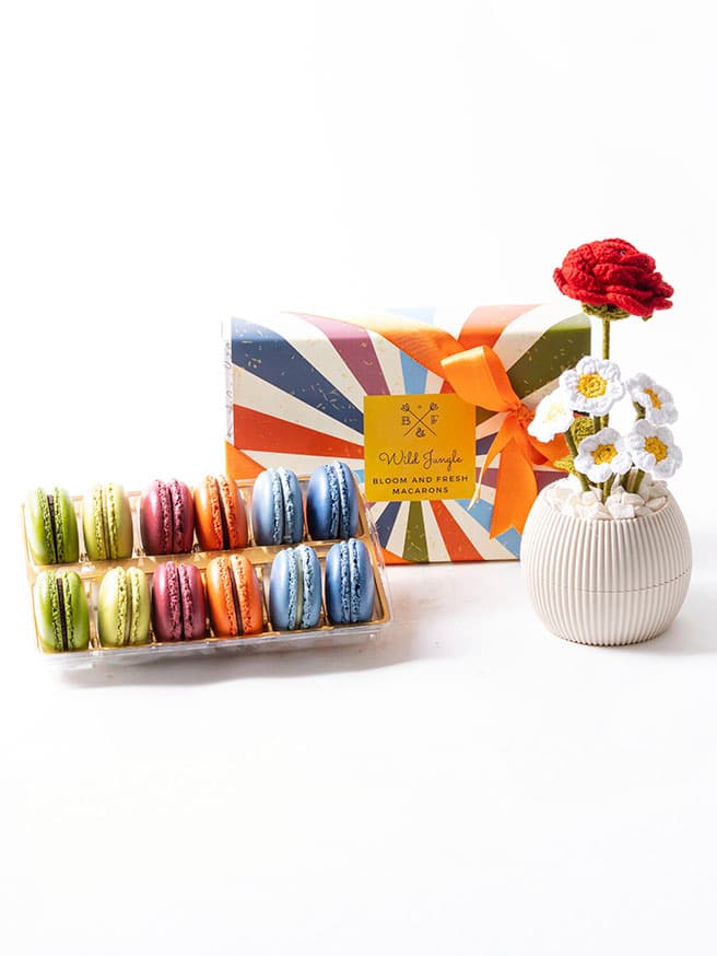Wild Jungle Macarons (12'li) & Solmayan Gül ve Papatya Bundle
