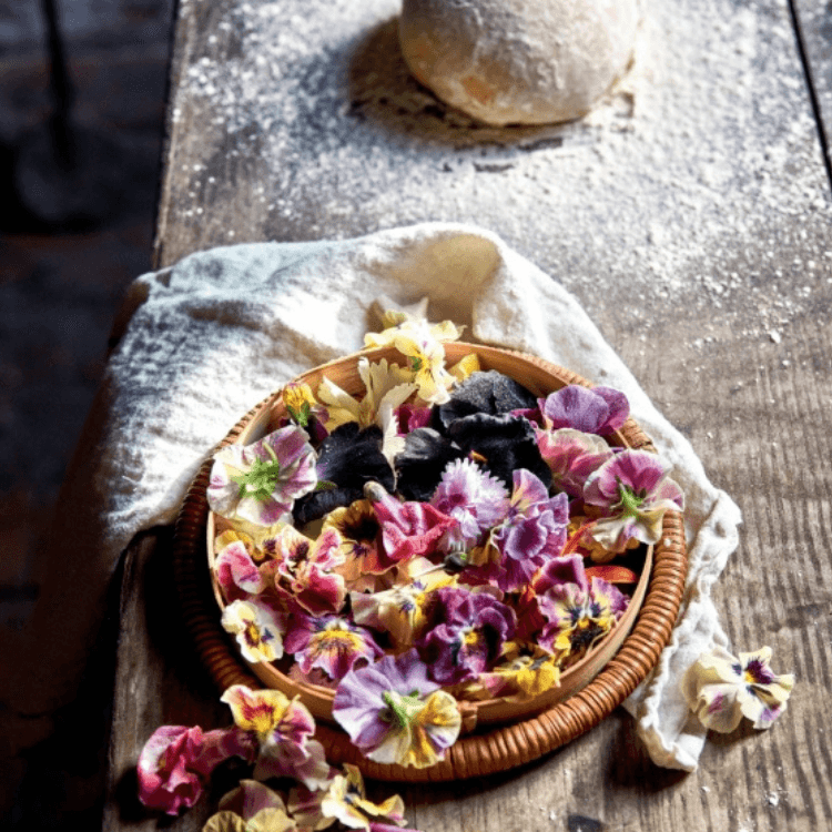 Turkuaz Kitchen - Betül Tunç — görsel 6