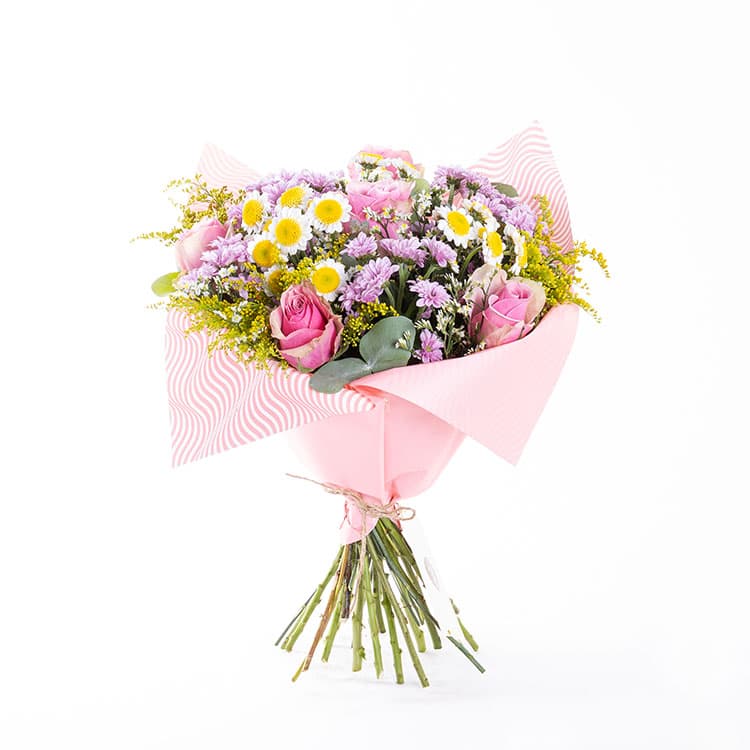 Poppy — görsel 4