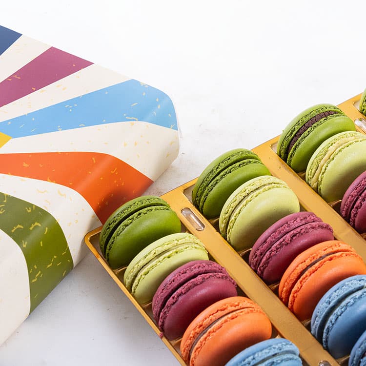 Wild Jungle Macarons (24'lü) — görsel 6
