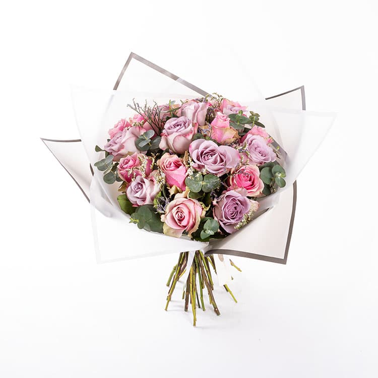 Elise — görsel 6
