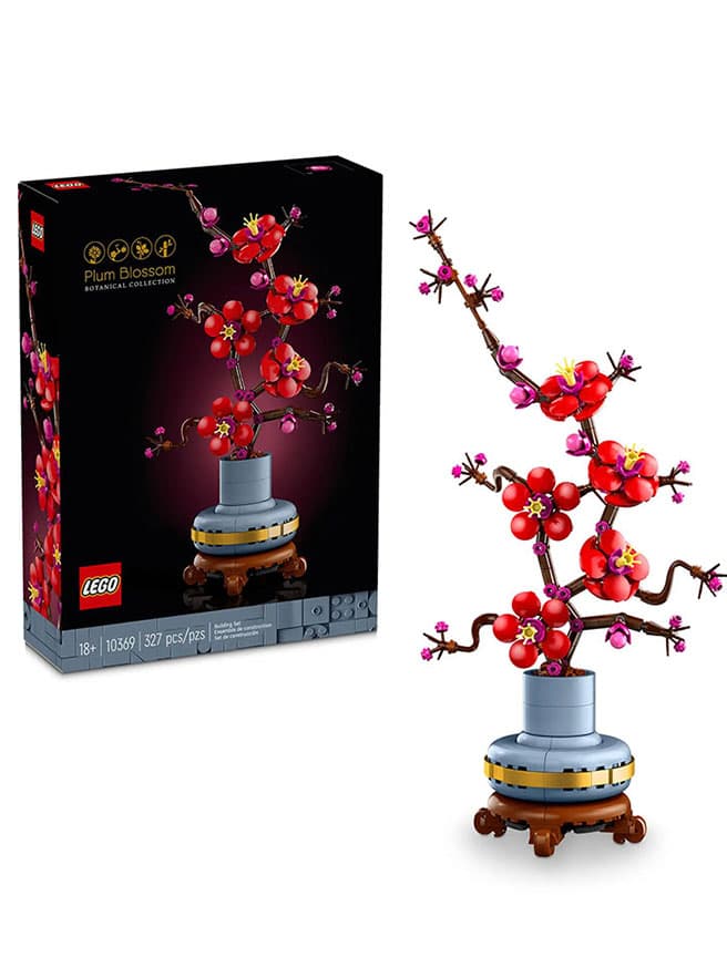 LEGO Botanicals Erik Çiçeği - 327 Parça (10369)
