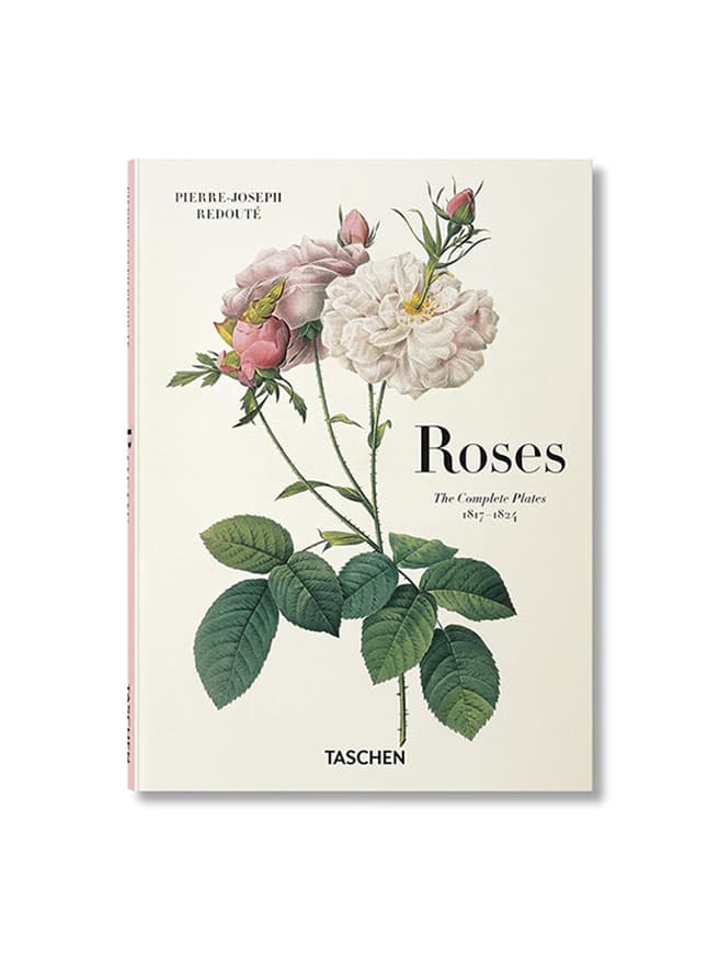 Redoute: Roses — görsel 1