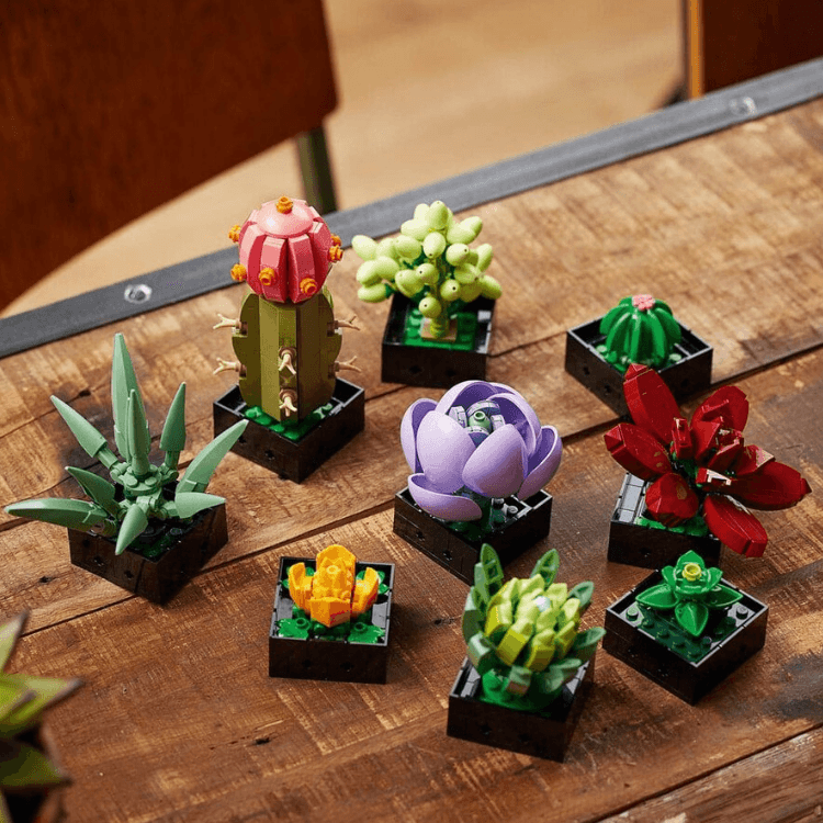 LEGO Botanicals Sukulentler - 771 Parça (10309) — görsel 5