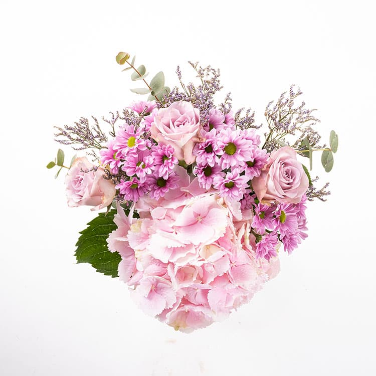 Chiara — görsel 7