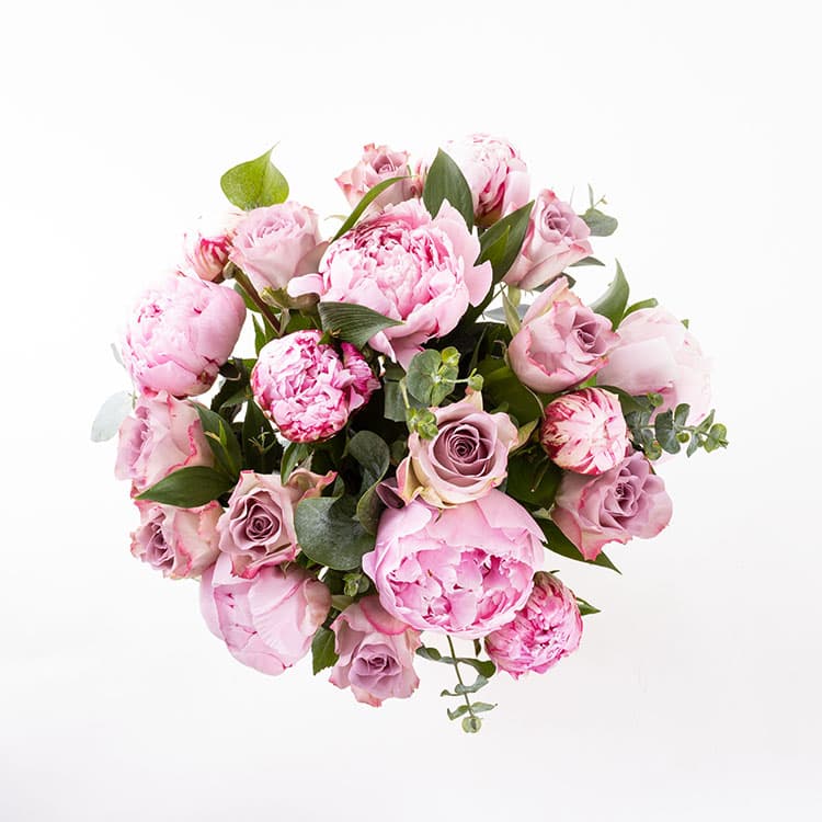 Margot — görsel 6