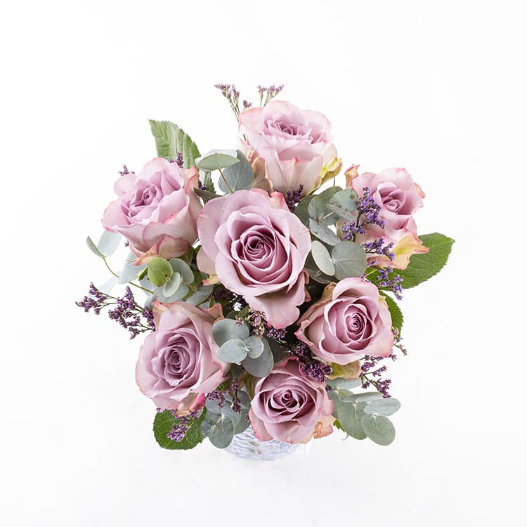 Gemma — görsel 7
