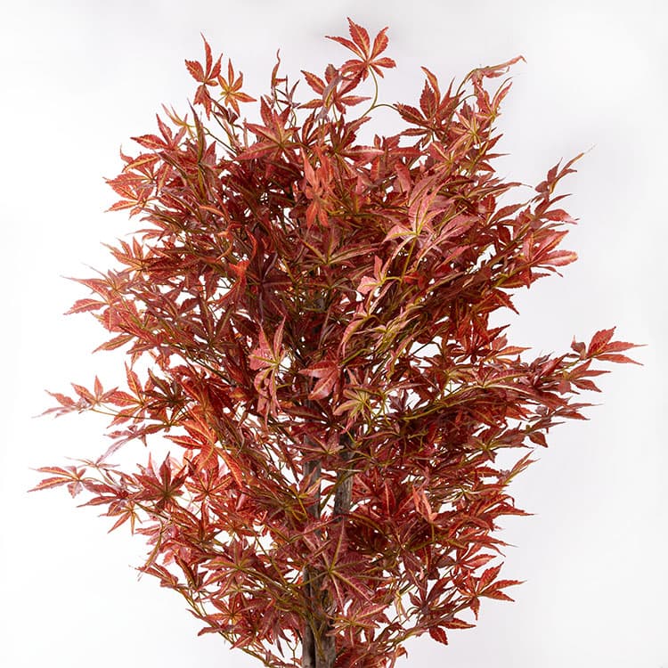 Dekoratif Maple Tree - Yapay (160 cm) — görsel 6