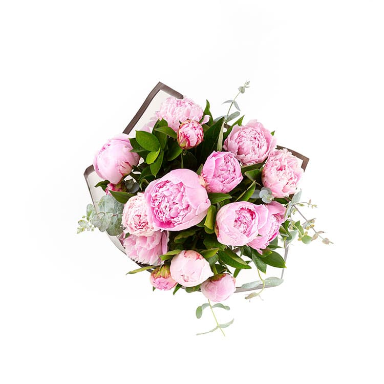 Pink Peonies — görsel 5
