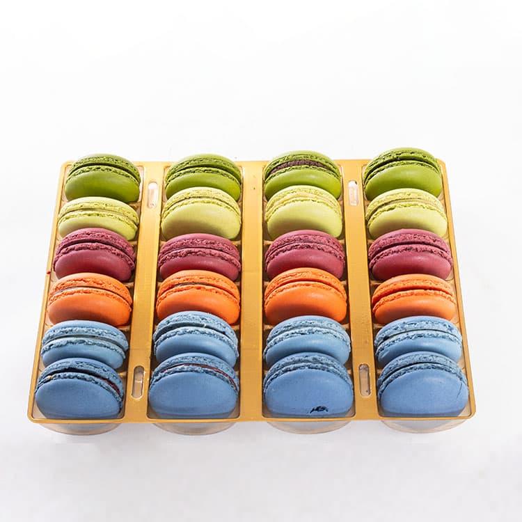 Wild Jungle Macarons (24'lü) — görsel 5