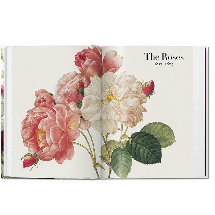 The Book of Flowers - Pierre Joseph Redouté — görsel 4