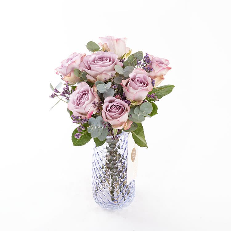 Gemma — görsel 6