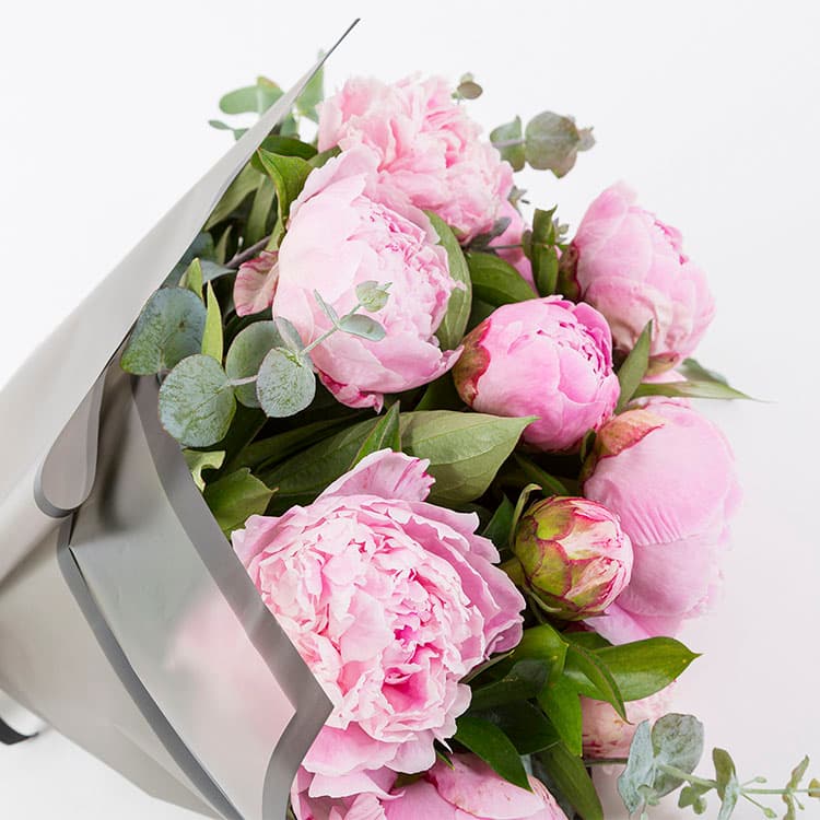 Pink Peonies — görsel 7