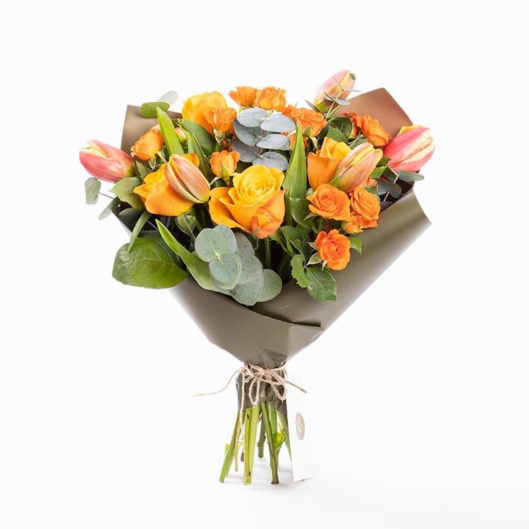 Sienna — görsel 3