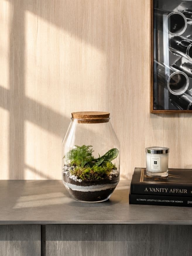 Terrarium Octo