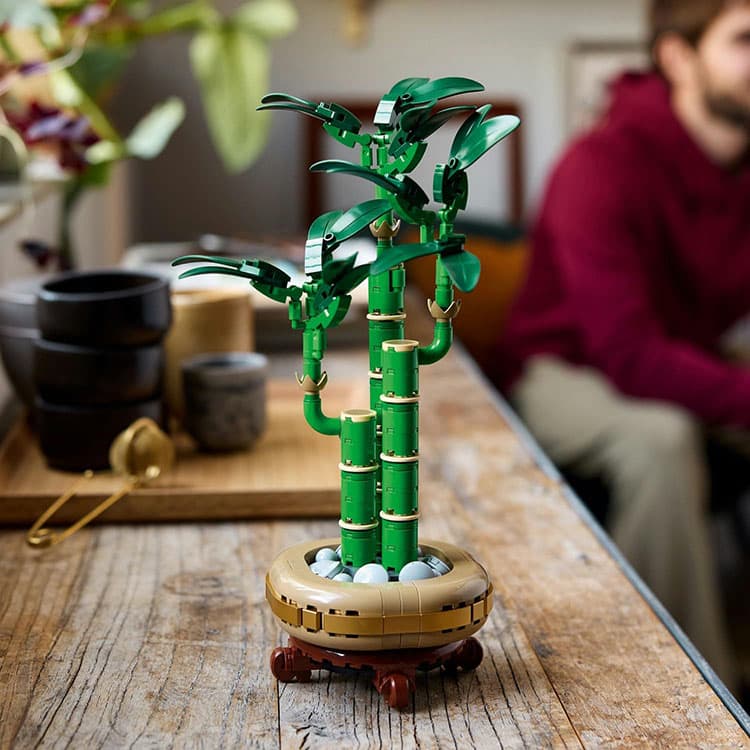 LEGO Botanicals Şans Bambusu - 325 Parça (10344) — görsel 4