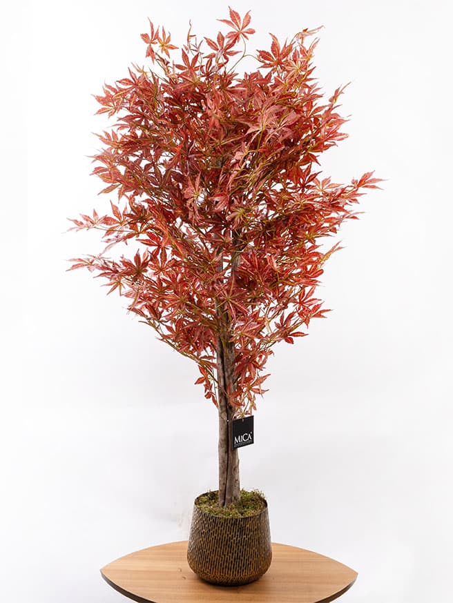 Dekoratif Maple Tree - Yapay (160 cm)