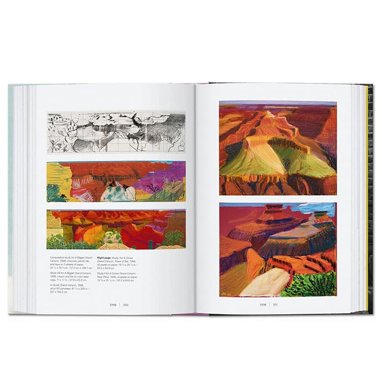 David Hockney. A Chronology. 45th Ed. — görsel 6