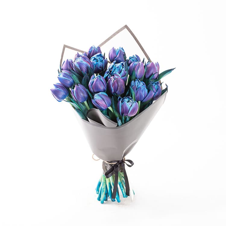 Galaxy of Love — görsel 9