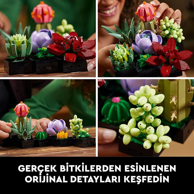 LEGO Botanicals Sukulentler - 771 Parça (10309) — görsel 6